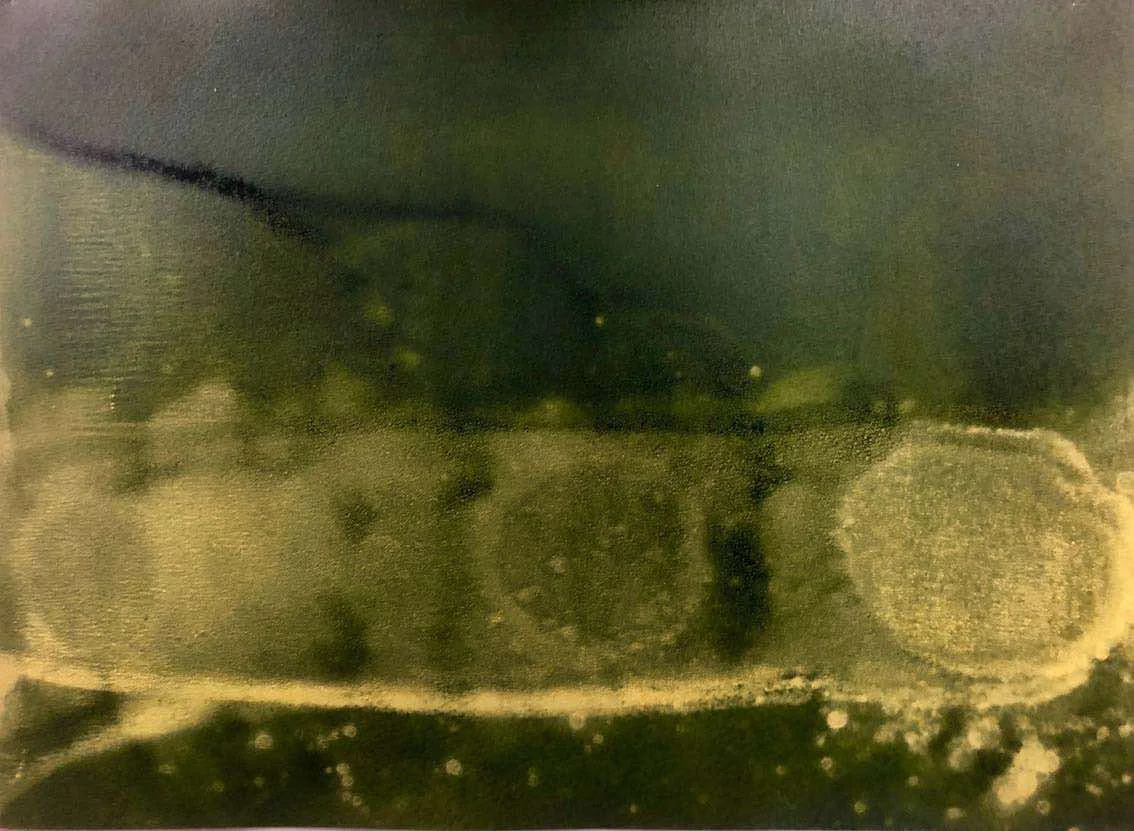 Chain-of-Ponds monotypes for Folio Box 2018